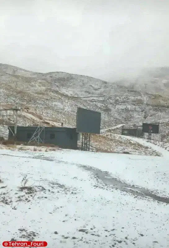 حیوان|حیوانات مزرعه|جازموریان, |دیوار