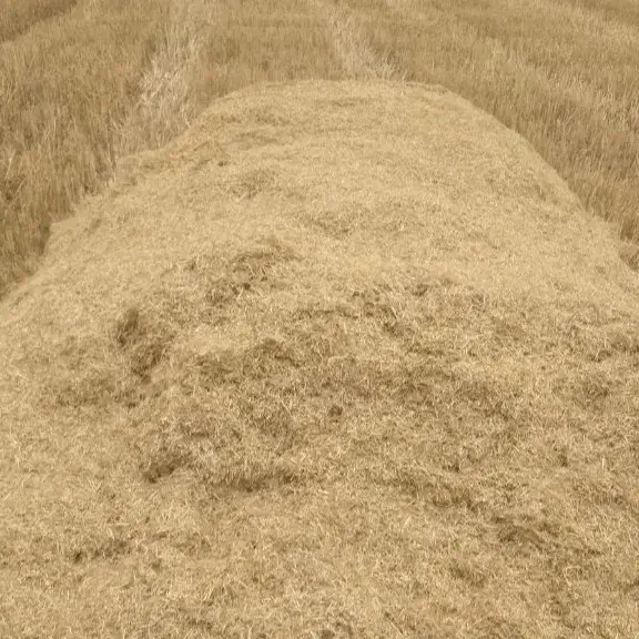 کاه دیم|لوازم جانبی حیوانات|شازند, |دیوار