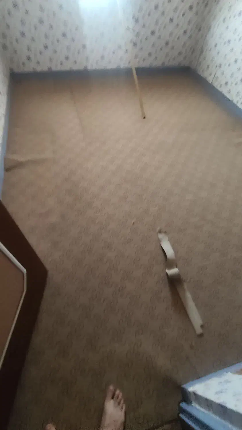 موکت|موکت|اهواز, کوی آغاجاری|دیوار