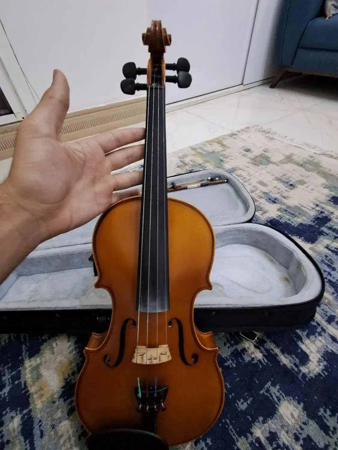 ویولن tf 142|ویولن|قزوین, |دیوار