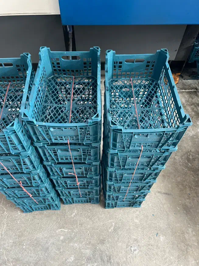 تولید و پخش ظروف پلاستیکی|ظروف نگهدارنده، پلاستیکی، یکبارمصرف|هشتگرد, تهران دشت|دیوار