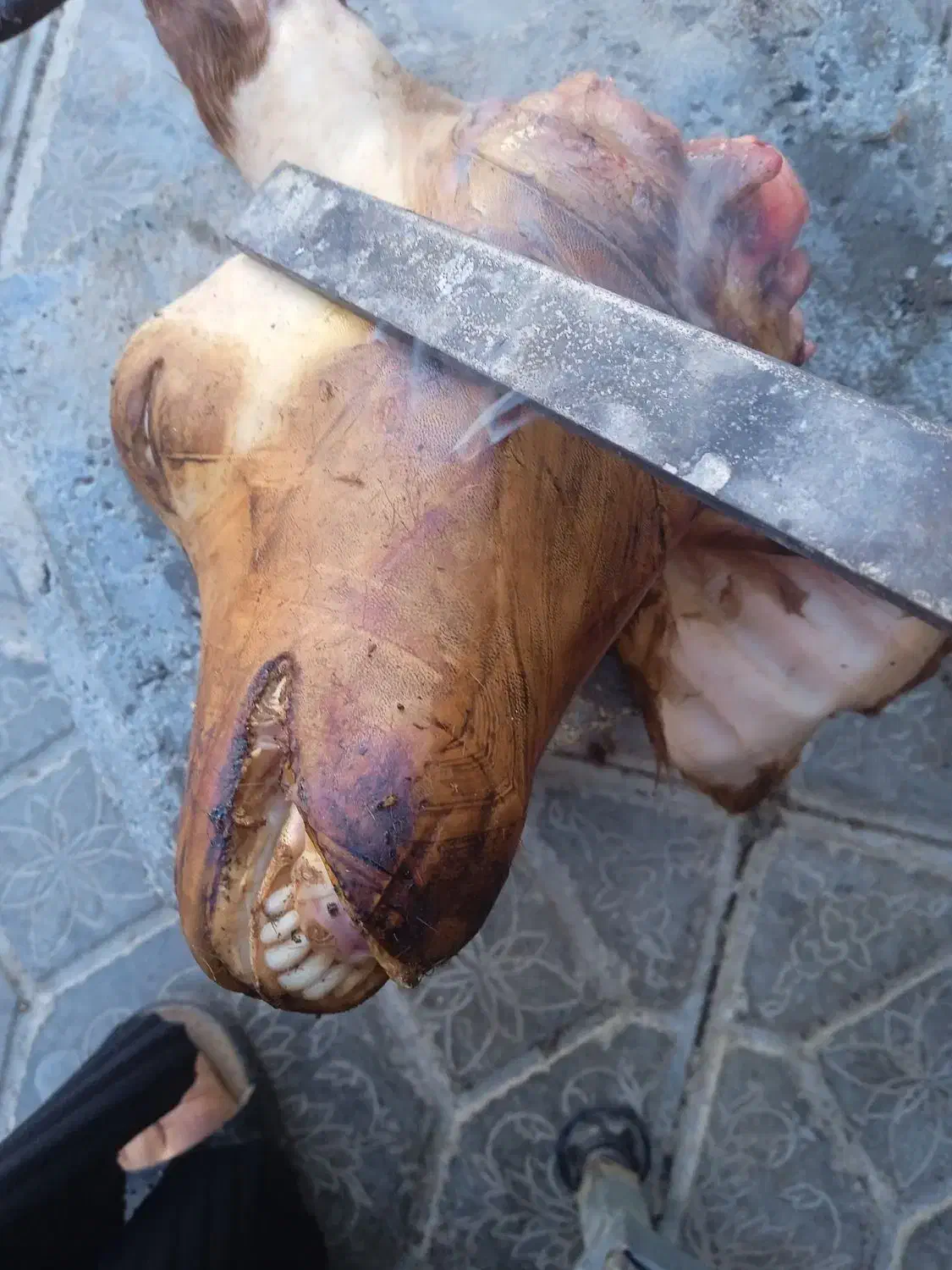 کله پاچه|خوردنی و آشامیدنی|نورآباد ممسنی, |دیوار