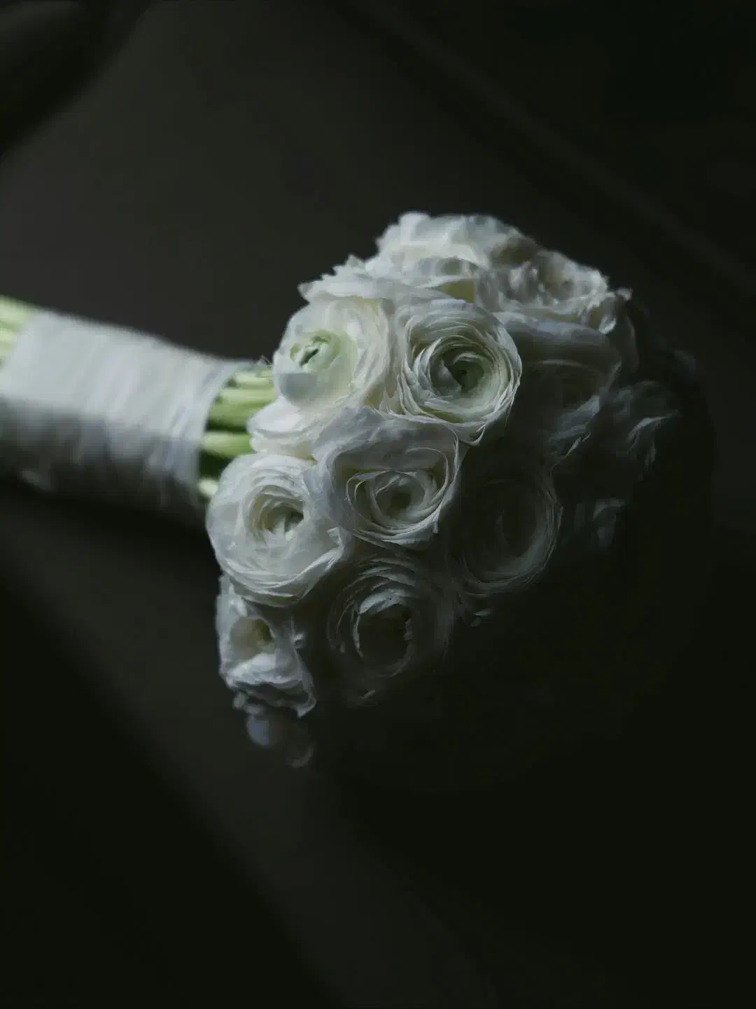 تشریفات|خدمات پذیرایی، مراسم|رشت, کاکتوس|دیوار