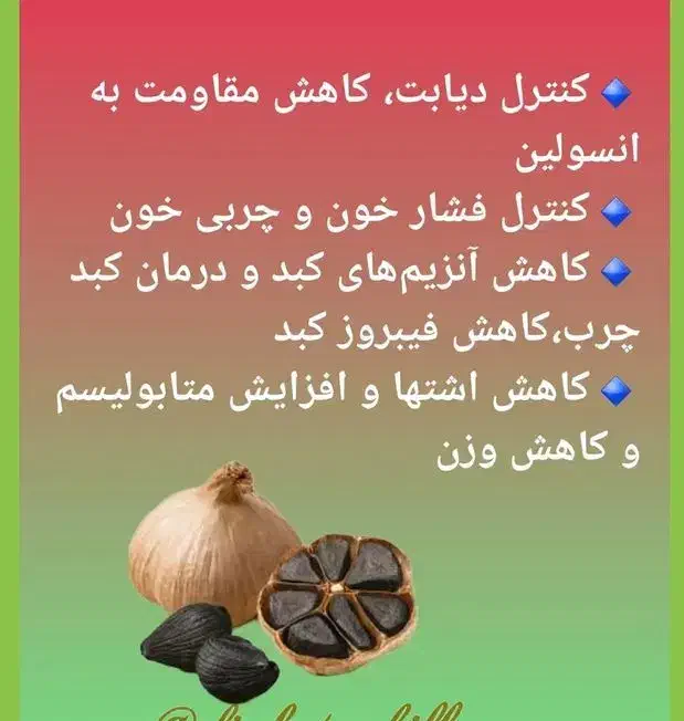 سیر سیاه بخر شامپو گیاهی جایزه ببر|آرایشی، بهداشتی، درمانی|تهران, زمزم|دیوار