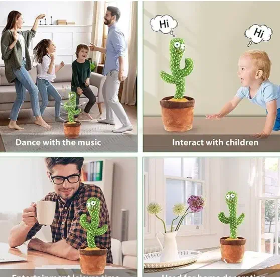 کاکتوس سخنگو|اسباب‌‌بازی|اندیمشک, |دیوار