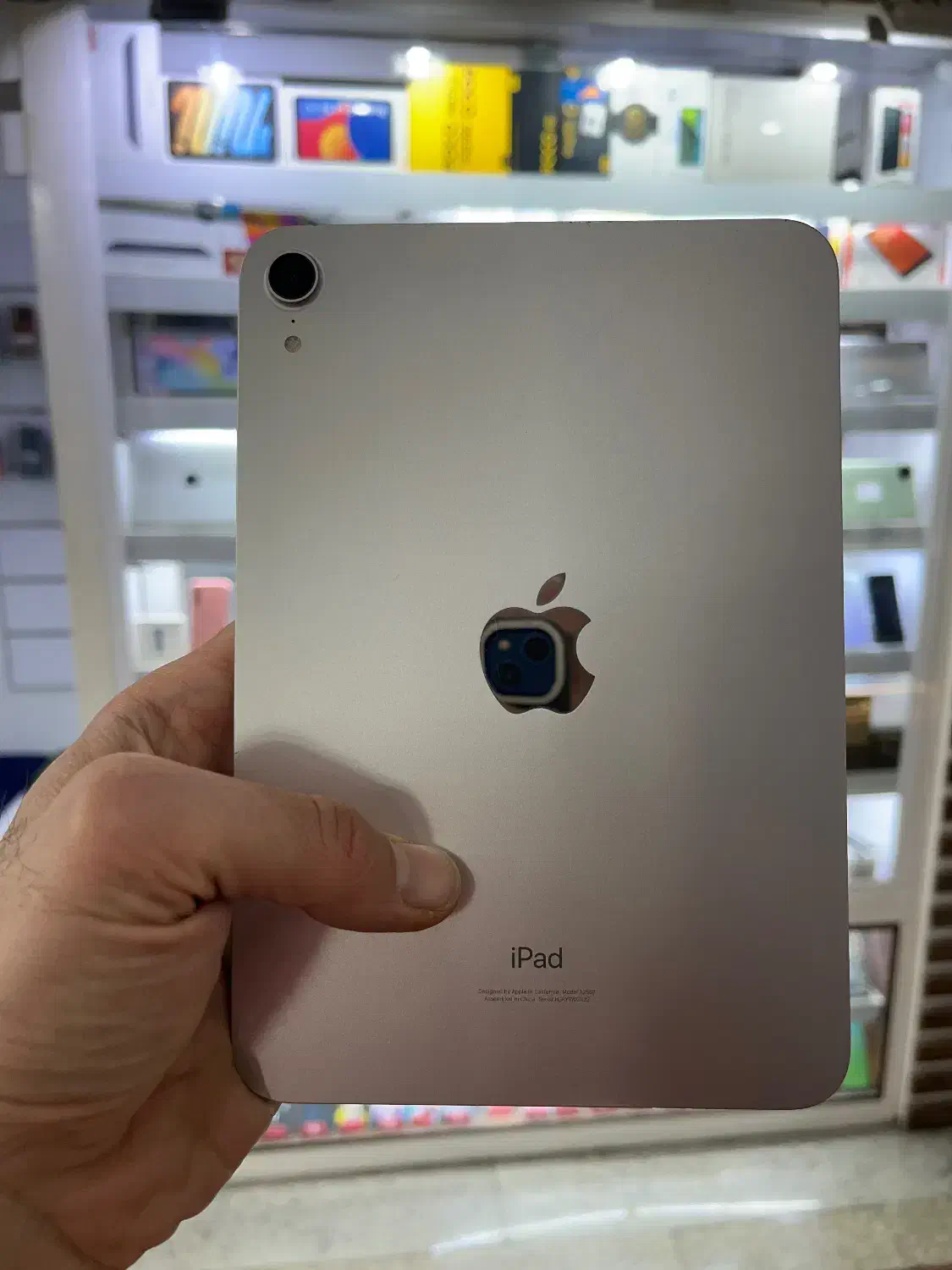آیپد مینی  iPad mini 6 کارکرده تمیز (۶۴GB)|تبلت|کرمانشاه, |دیوار