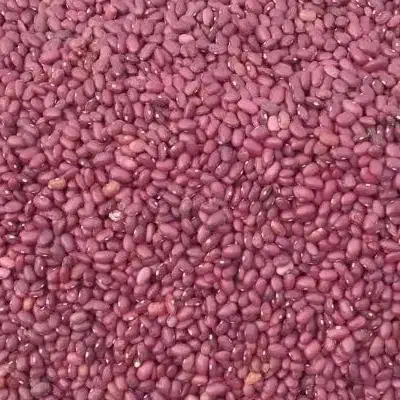 لوبیا قرمز محلی|خوردنی و آشامیدنی|دیواندره, |دیوار