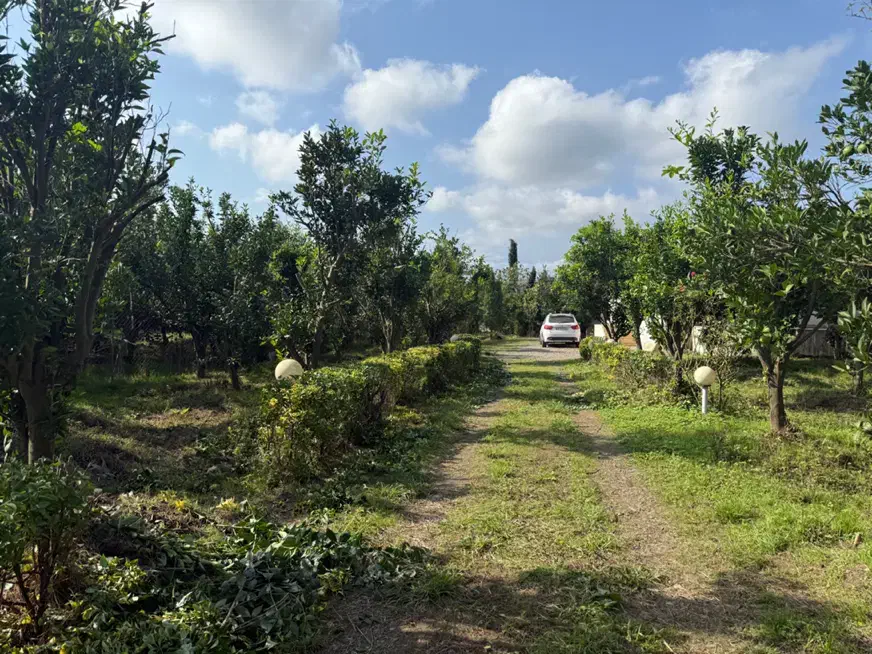 فروش باغ ویلا زیبا در تنکابن ،سند ششدانگ،|فروش خانه و ویلا|تنکابن, |دیوار