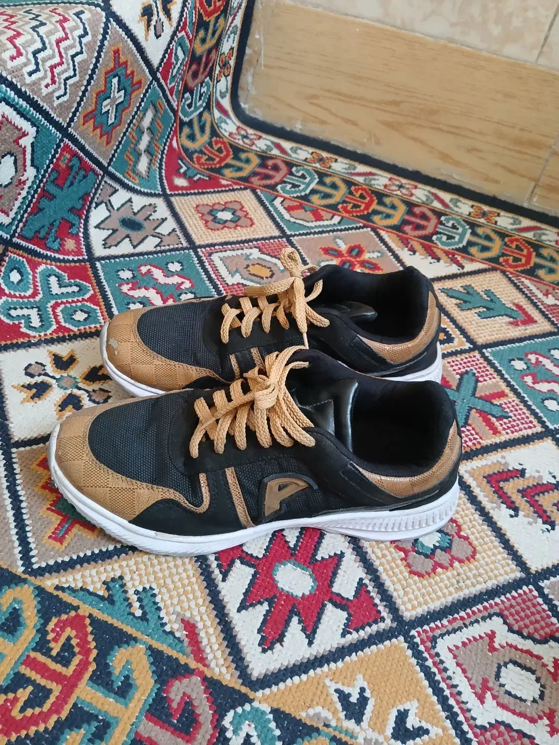 کتونی|کیف، کفش، کمربند|قم, شهر قائم|دیوار