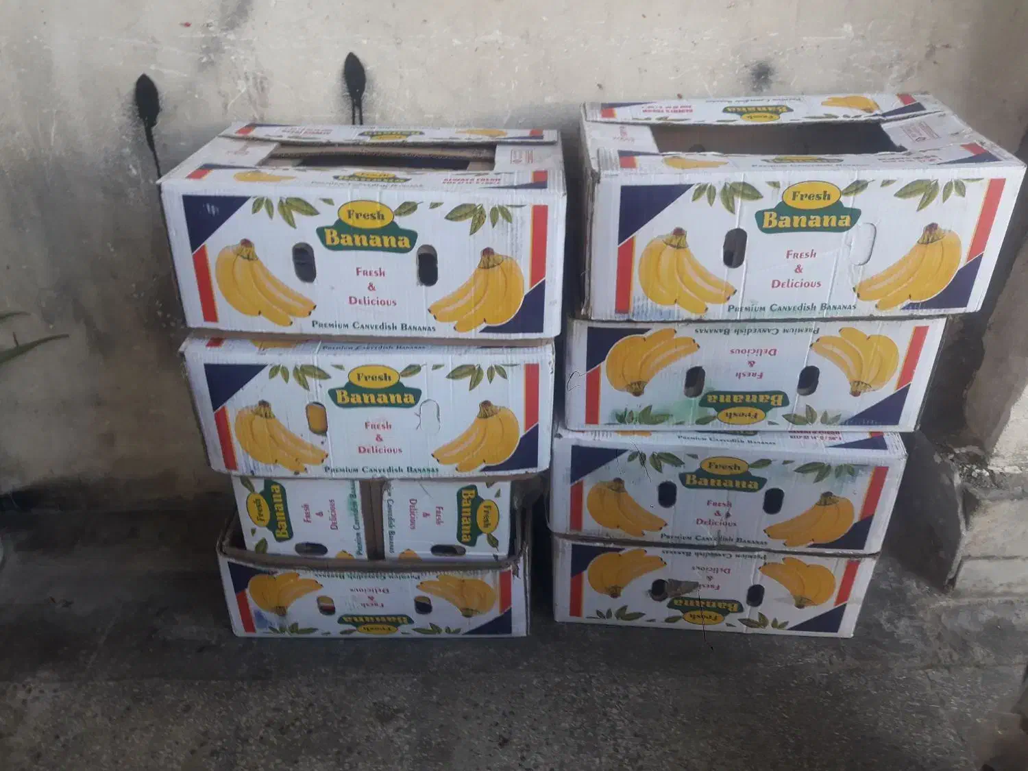 فروش تعدادی کارتن خالی جهت اسباب کشی|حراج|شیراز, شهرک امیر کبیر|دیوار