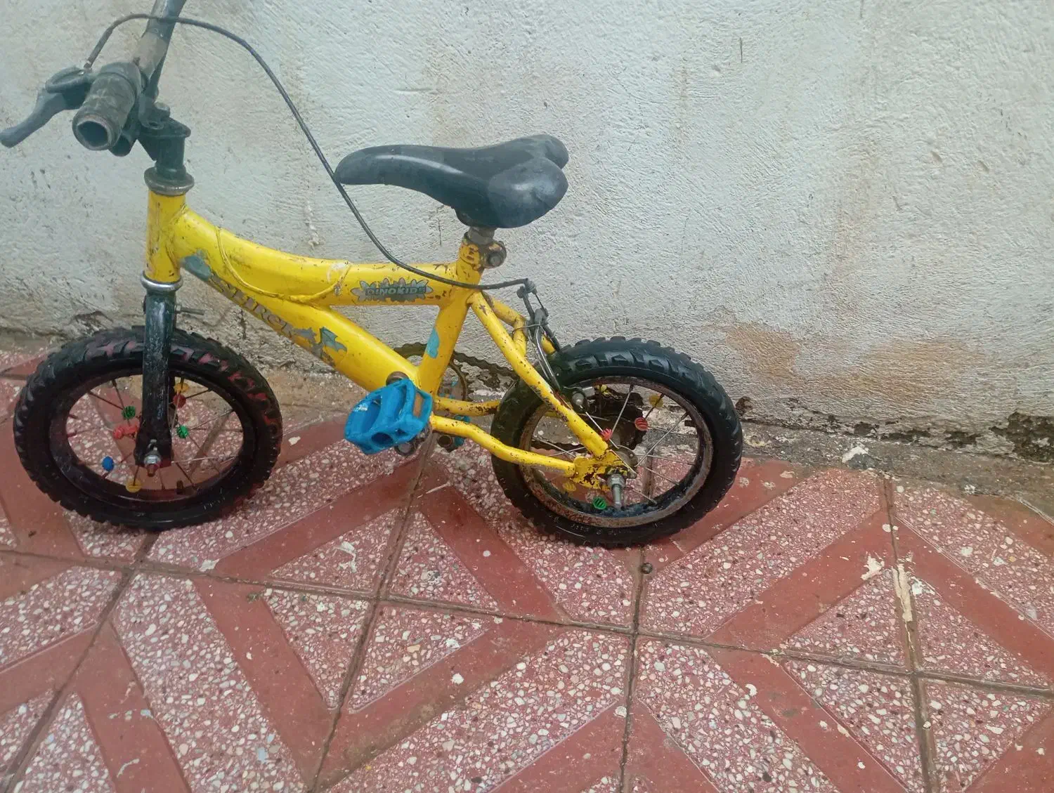 دو عدد دوچرخه وسه چرخه|دوچرخه، اسکیت، اسکوتر|همدان, |دیوار