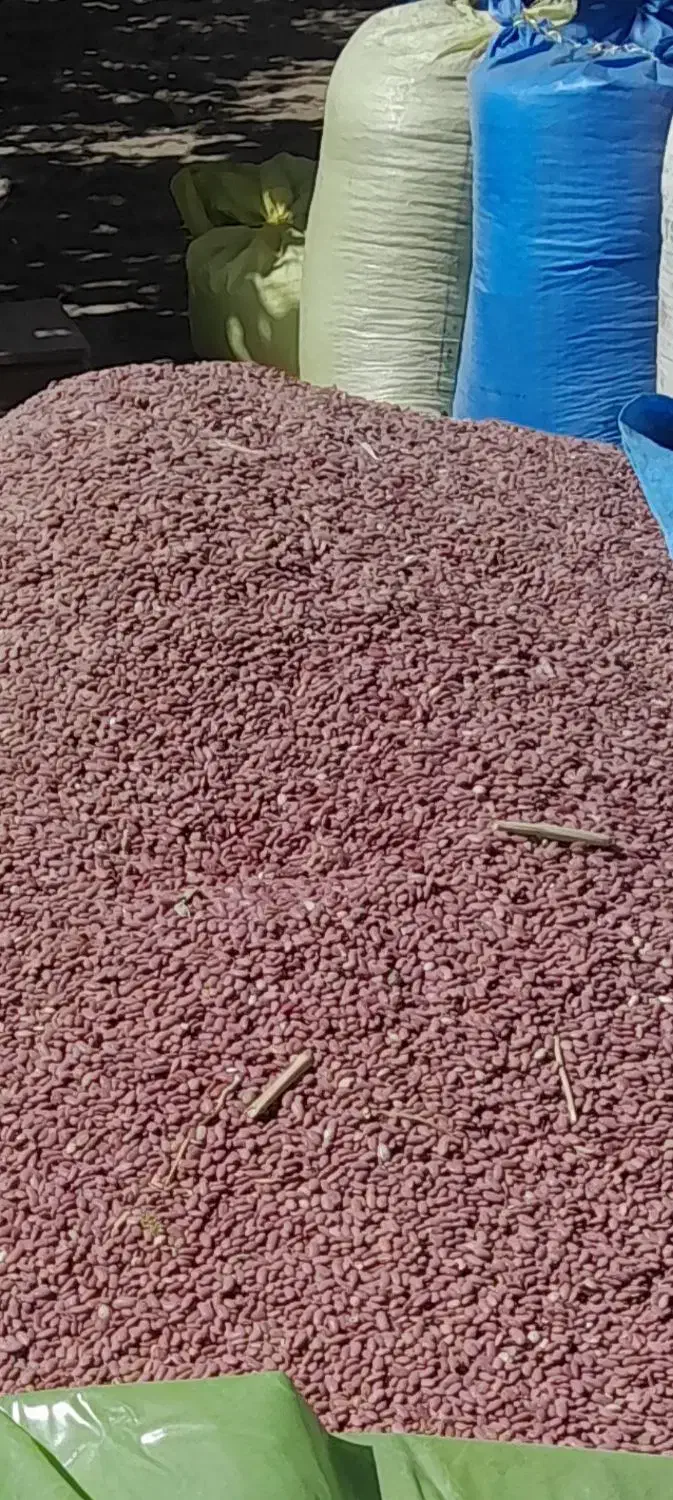 لوبیا قرمز|عمدهفروشی|قره چای, |دیوار