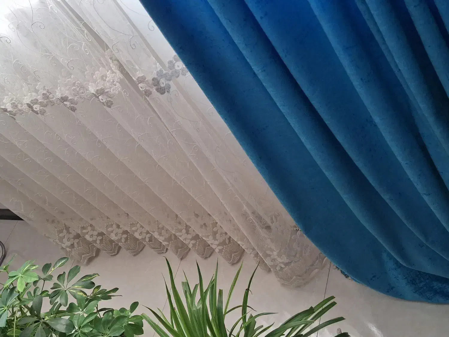 پرده|پرده، رانر، رومیزی|آزادشهر, |دیوار