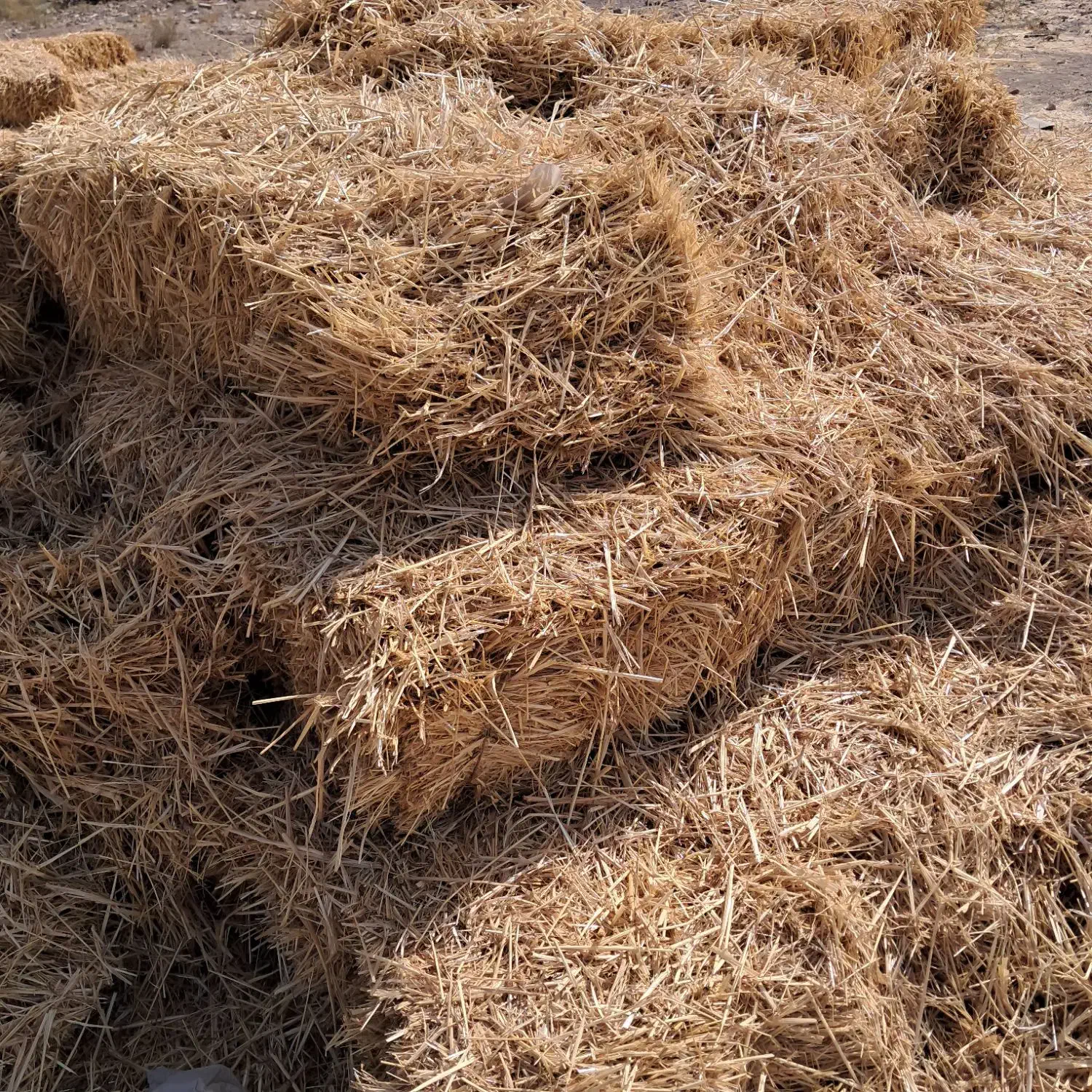 کلش کاه پرس|حیوانات مزرعه|محمدیه-قزوین, |دیوار