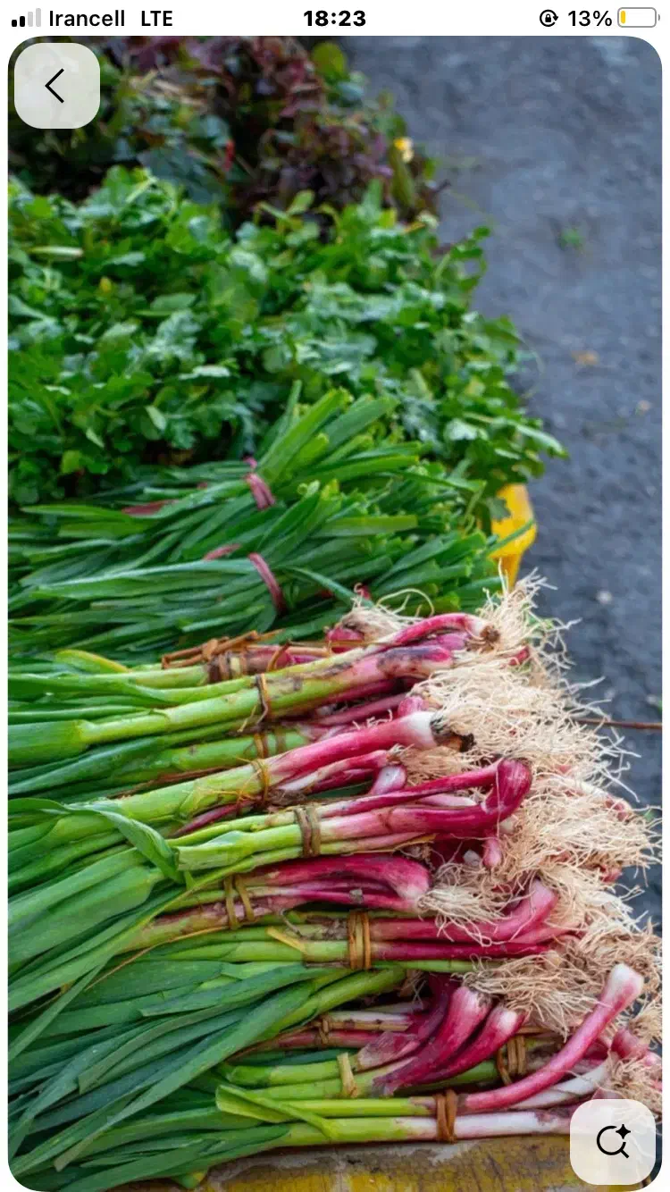 سفارش غذا ایرانی و فرنگی /فینگر فود /سالاد|خدمات پذیرایی، مراسم|صفادشت, |دیوار