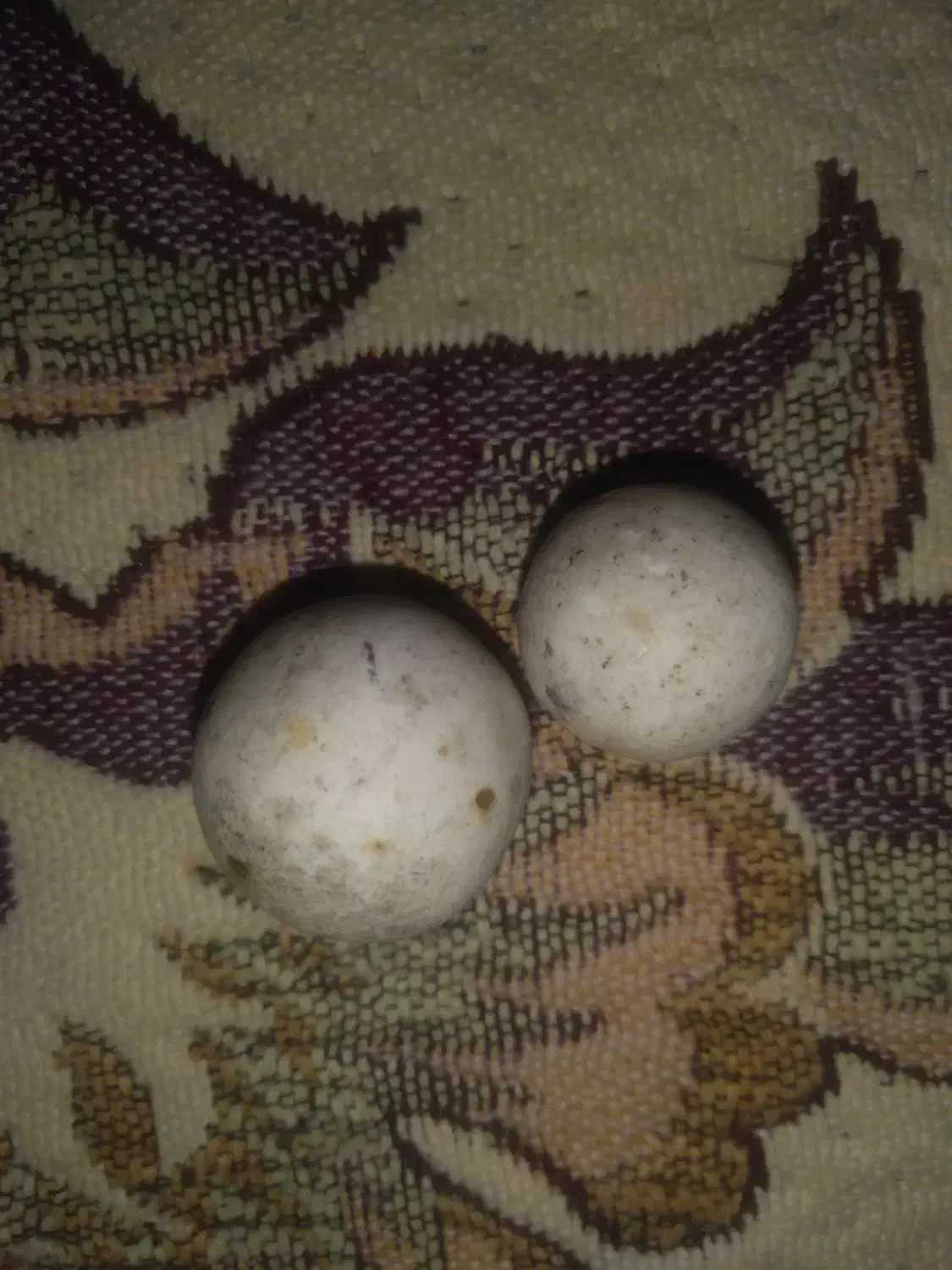 سنگ قیمتی|کلکسیون اشیاء عتیقه|نهاوند, |دیوار