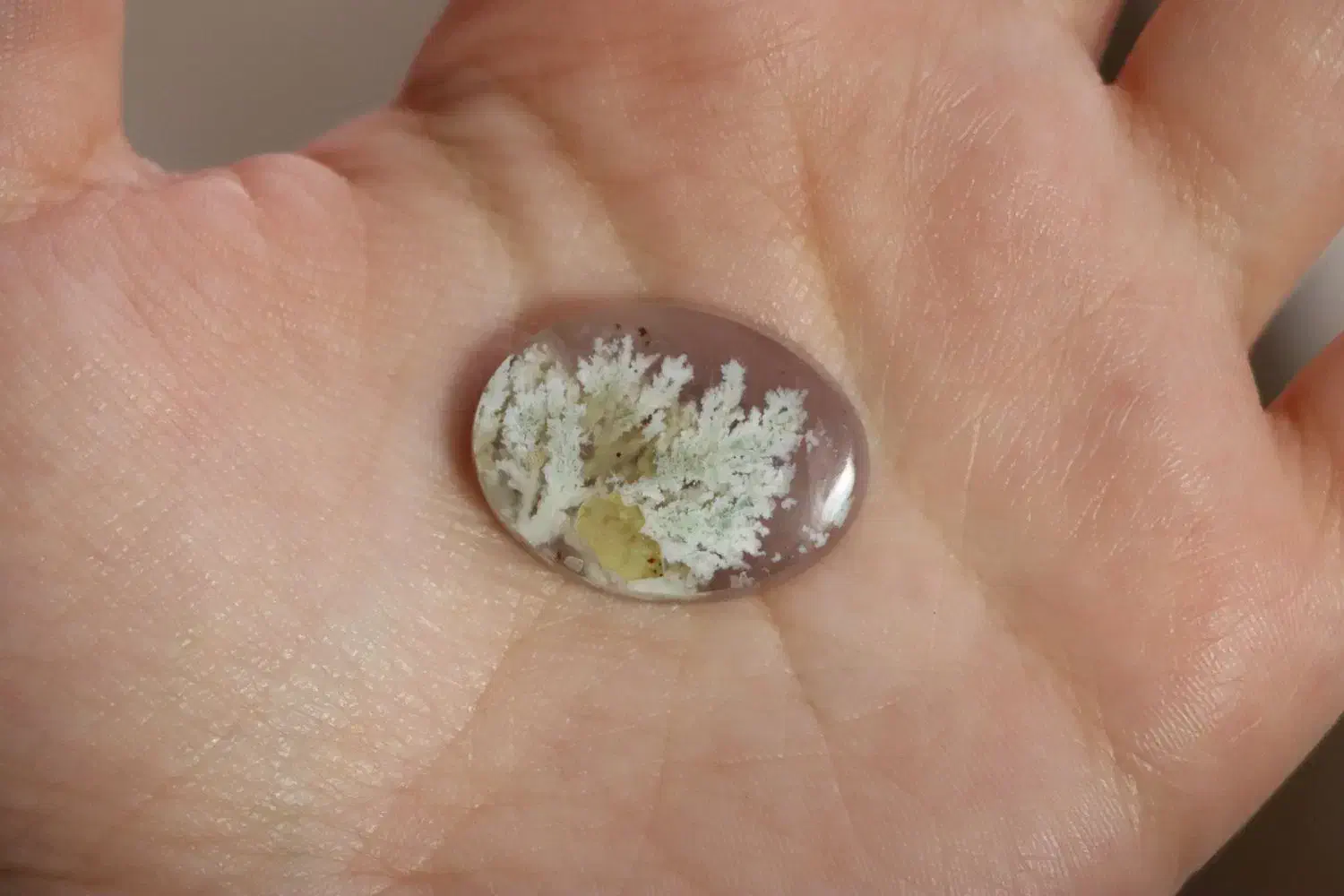 سنگ طبیعی شجر/ طرح درخت برفی/ ویدیو قبل از خرید|جواهرات|اصفهان, نقش جهان|دیوار