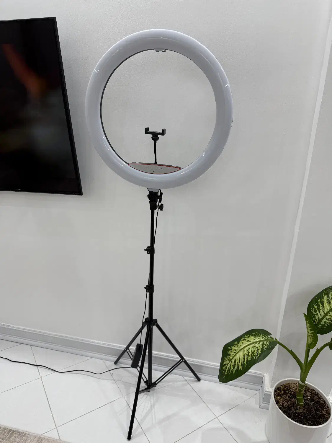 رینگ لایت + پایه ۲.۵ متری|دوربین عکاسی و فیلم‌برداری|مشهد, رضاشهر|دیوار