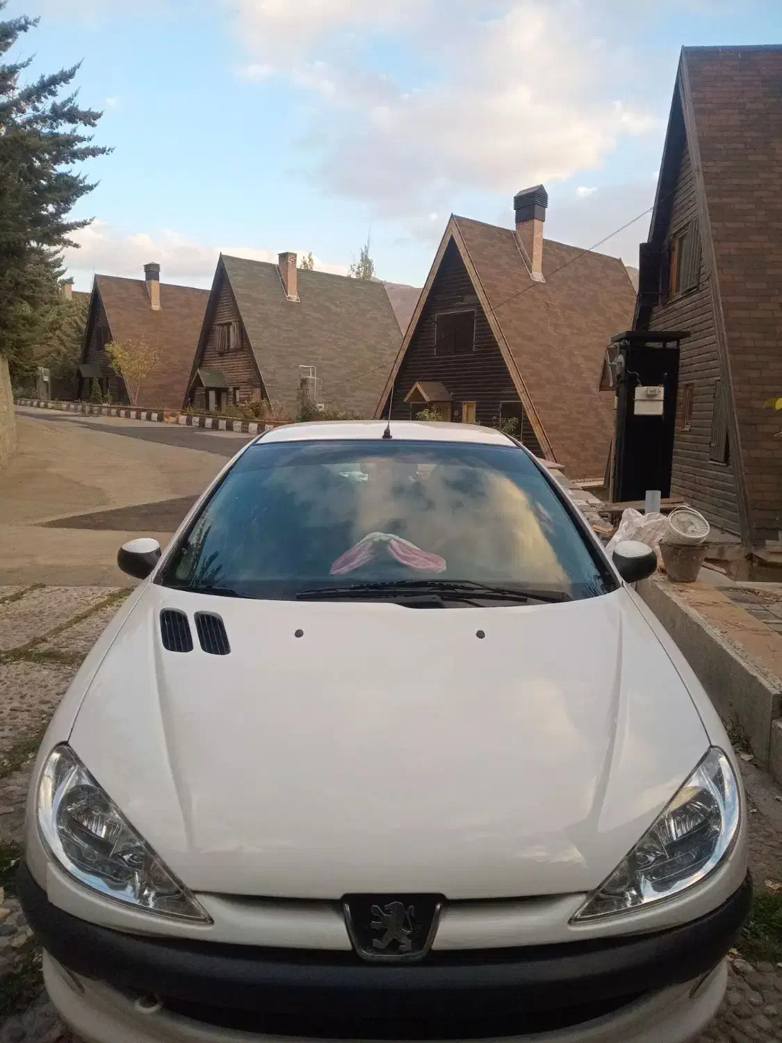 206sd v 10 اریان اصل فرانسه|خودرو سواری و وانت|شمشک, |دیوار