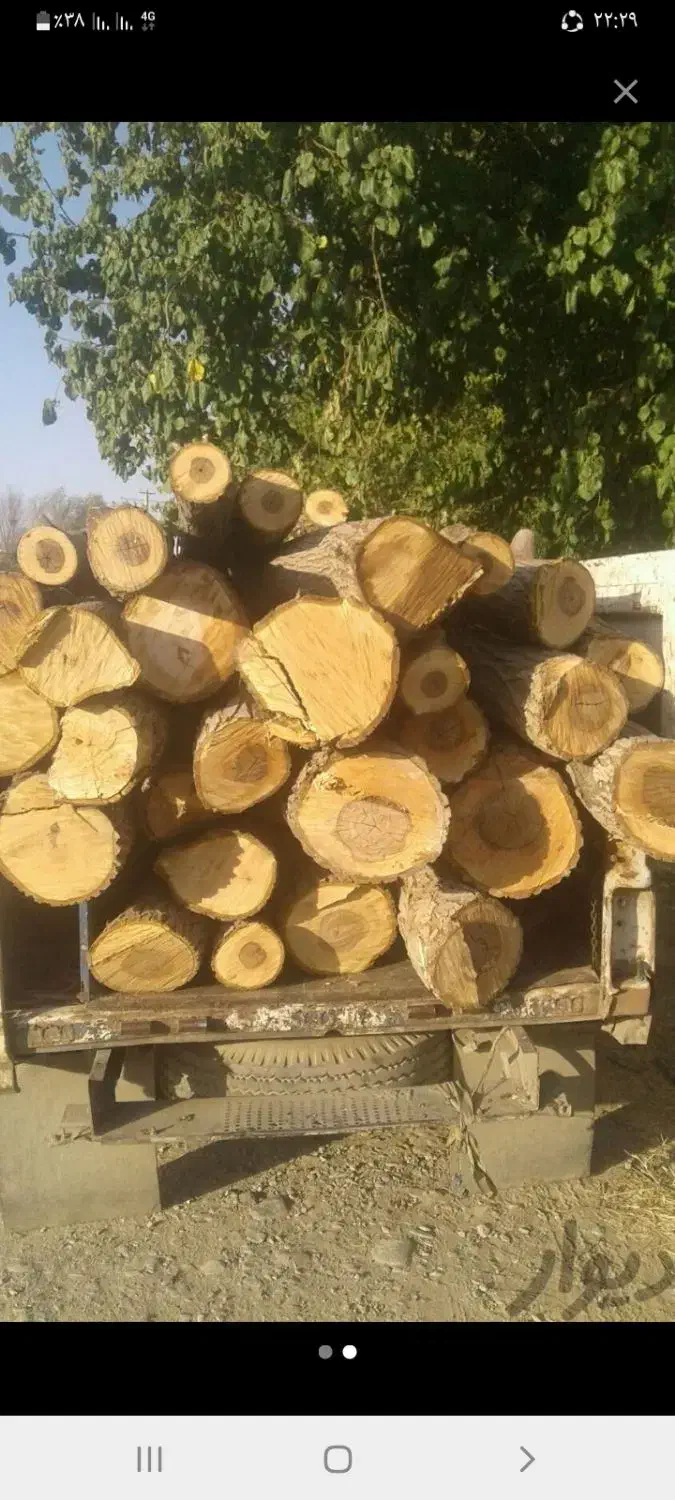 خرید چوب قطع وهرس انواع درختان با اره‌برقی|خدمات باغبانی و درختکاری|کرمانشاه, |دیوار