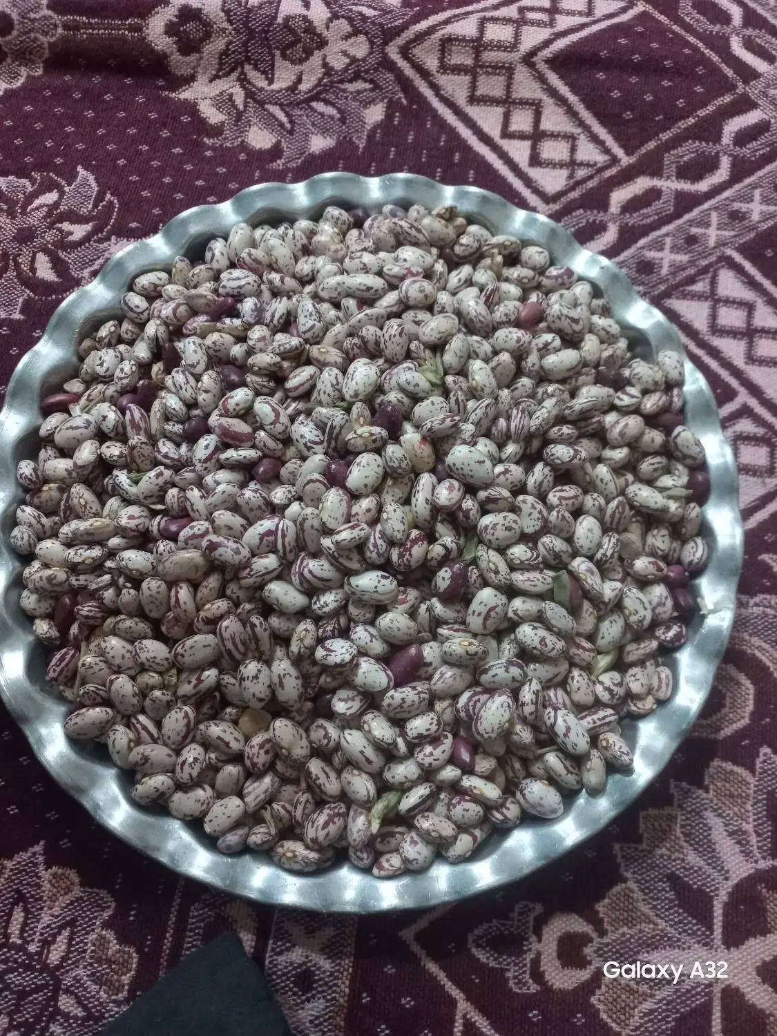 لوبیا چیتی|خوردنی و آشامیدنی|سراب, |دیوار