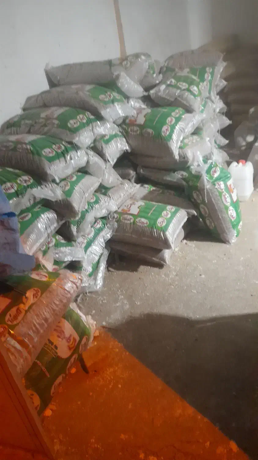 باقالی بزر خوراکی بزری|خوردنی و آشامیدنی|همدان, |دیوار