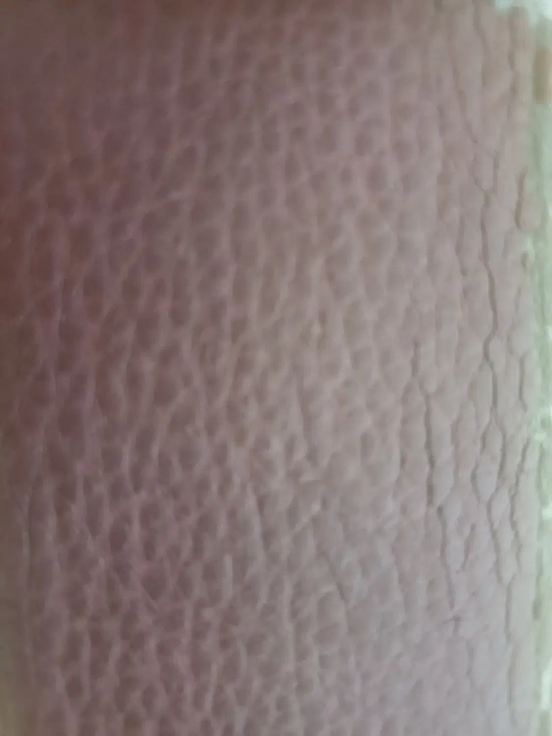 مدارک گمشده داخل کیف کارتی به نام میر|اشیا|زنجان, |دیوار