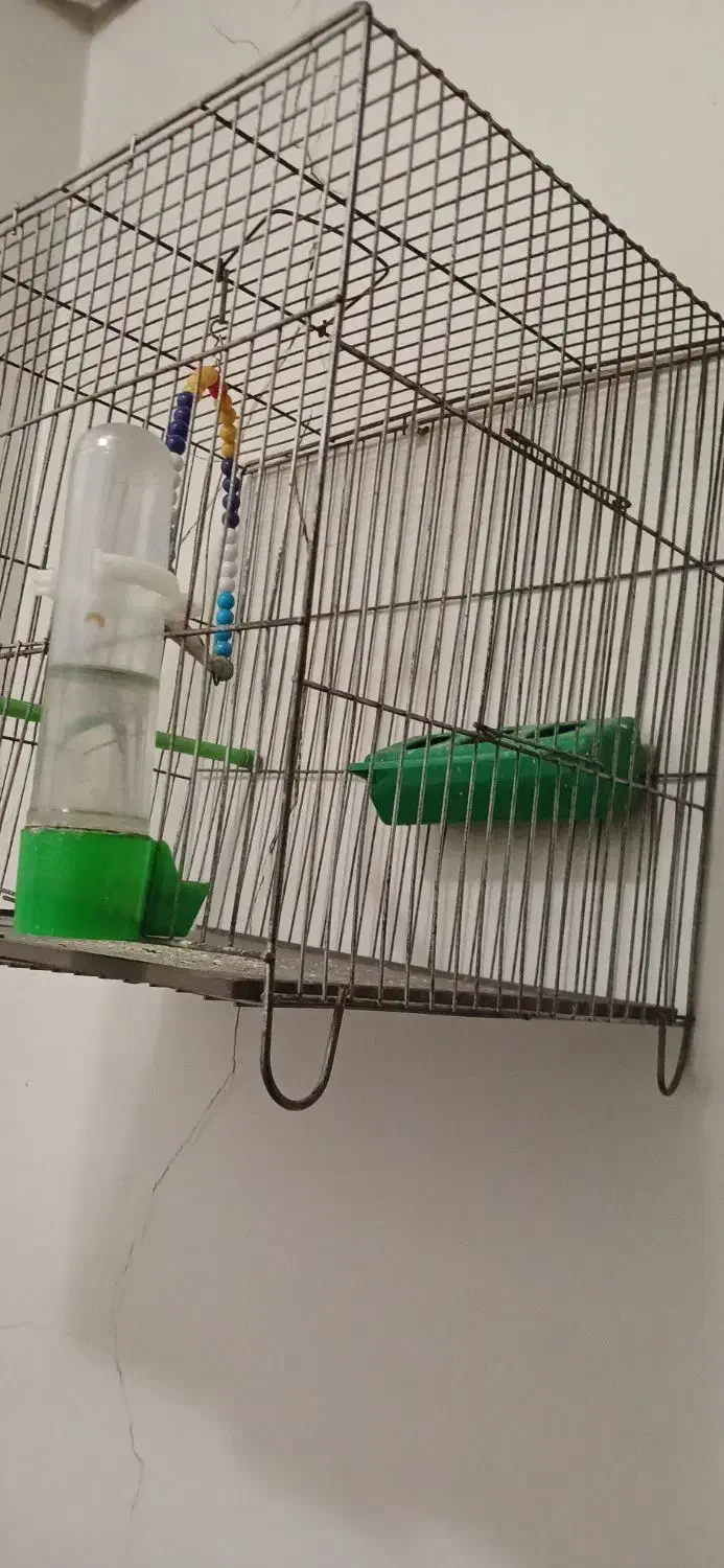 قفس پرنده|لوازم جانبی حیوانات|چهاردانگه (تهران), |دیوار
