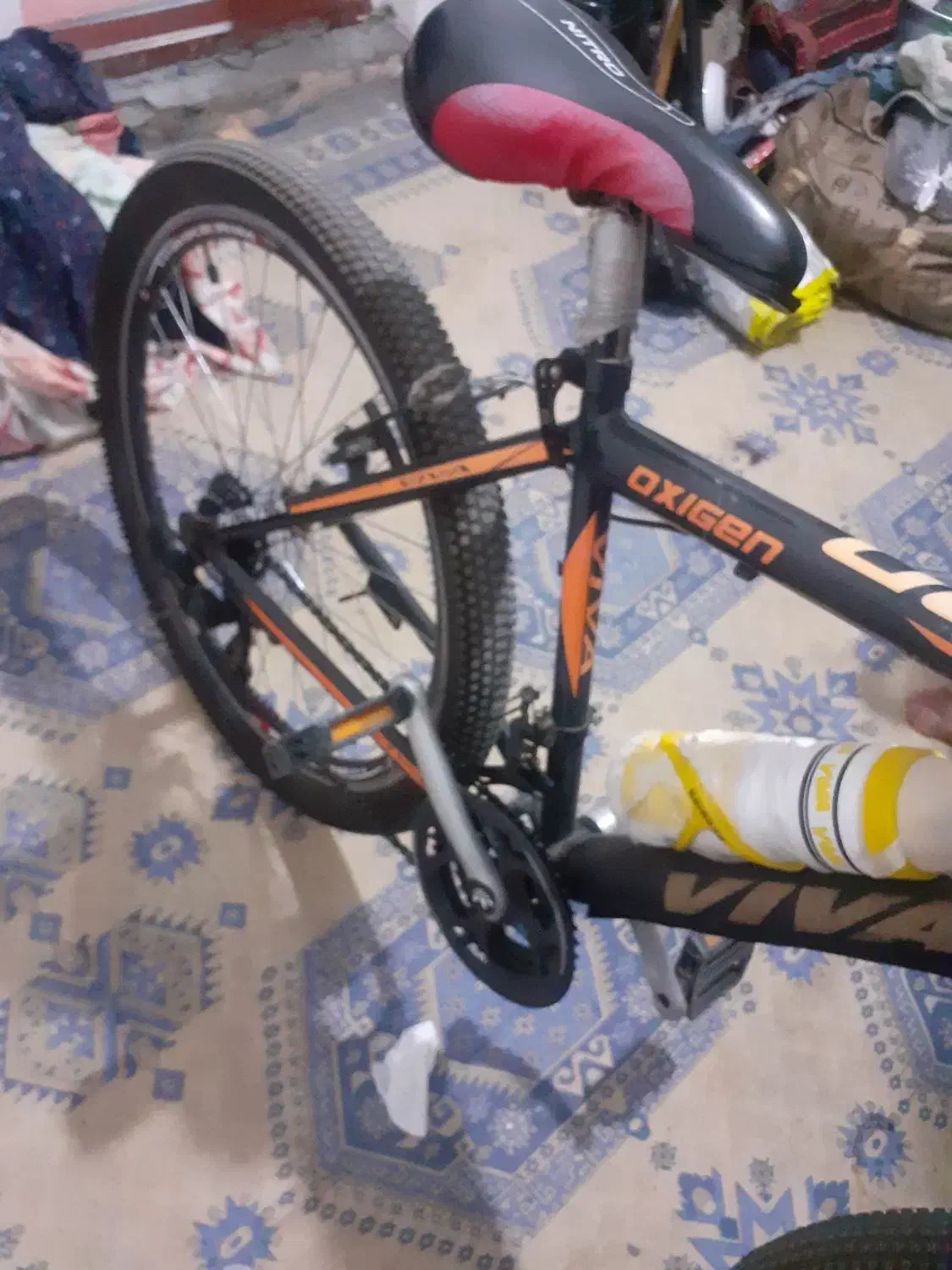 دوچرخه ویوا اصل|دوچرخه، اسکیت، اسکوتر|گالیکش, |دیوار