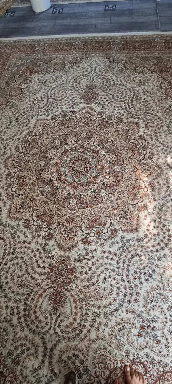 فرش|فرش|الیگودرز, |دیوار