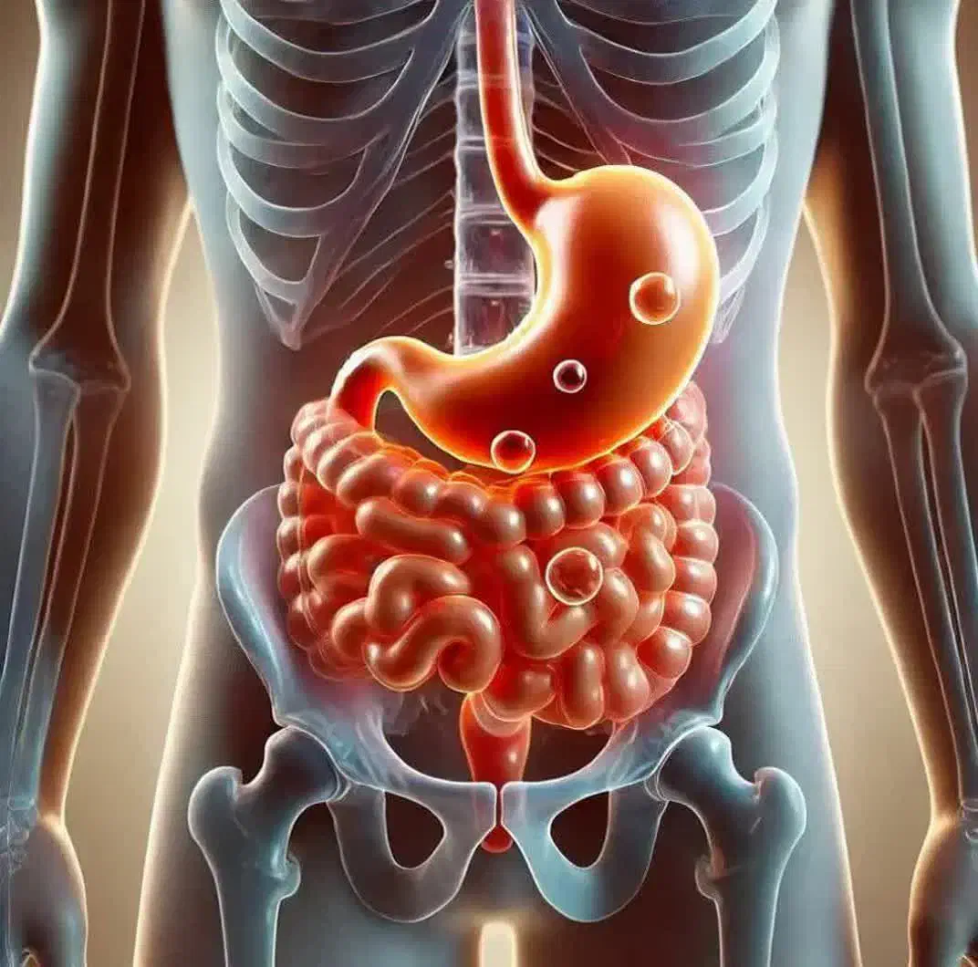 آشنایی با علم زبانشناسی و تشخیص بیماریها|خدمات آموزشی|زاهدان, |دیوار