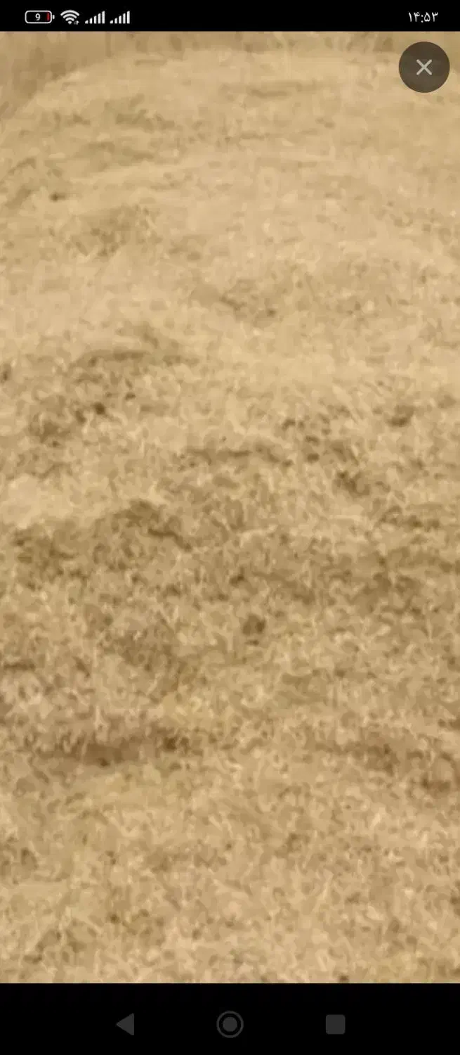 کاه|لوازم جانبی حیوانات|بهار, |دیوار