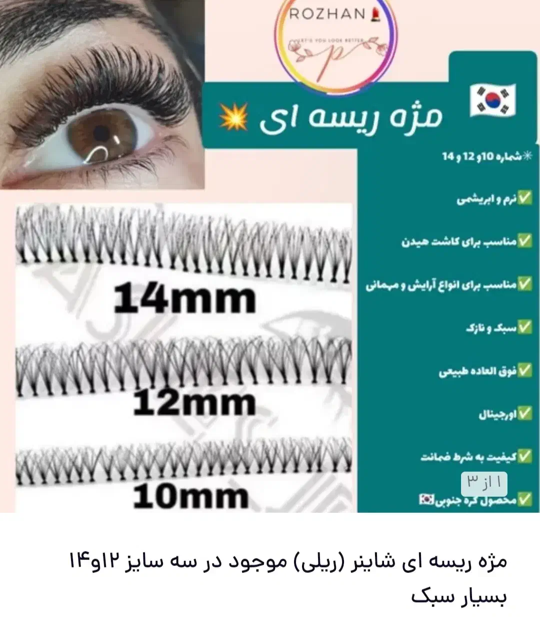 مژه ریسه ای شاینر|فعالیت داوطلبانه تحقیقاتی|اهواز, نبوت|دیوار
