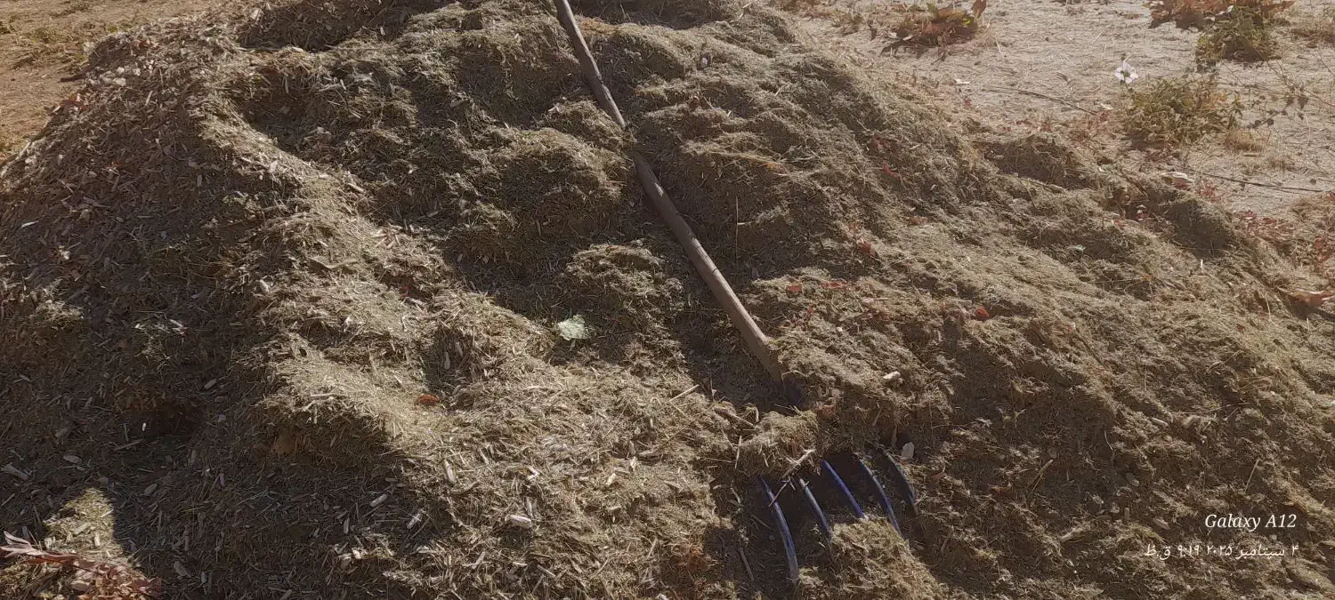 علف|حیوانات مزرعه|دیواندره, |دیوار