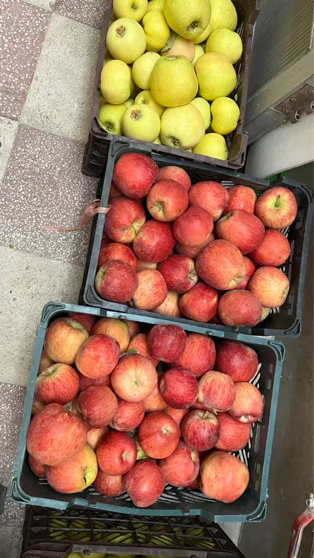 سیب|خوردنی و آشامیدنی|شیراز, شهرک مهدیآباد|دیوار