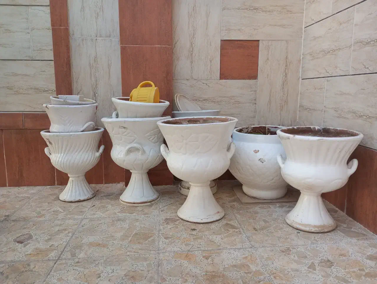 گلدان سلطنتی|گل و گیاه طبیعی|خور (فارس), |دیوار