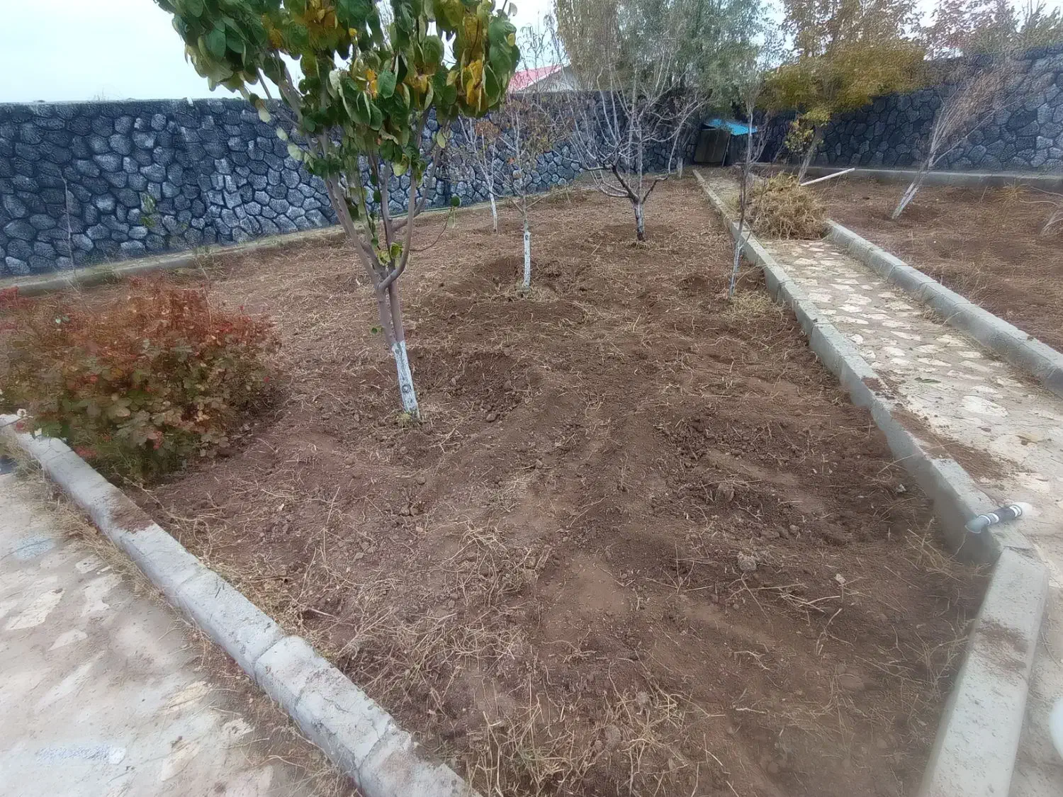 شخم زنی و خدمات باغی|خدمات باغبانی و درختکاری|صوفیان, |دیوار