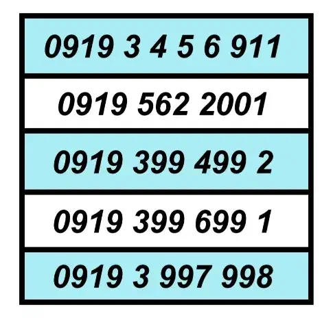 0919.8.9.1.0206|سیم‌کارت|تهران, امام حسین|دیوار