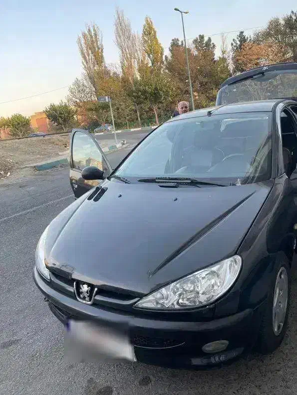 ۲۰۶ تیپ ۲ مدل ۹۴|خودرو سواری و وانت|تهران, چیذر|دیوار