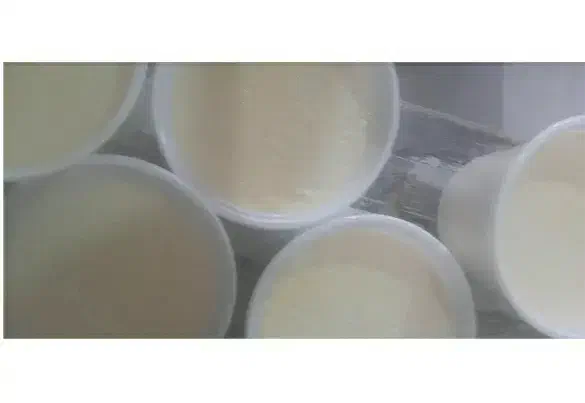 ماست محلی|حراج|خرم‌آباد, |دیوار