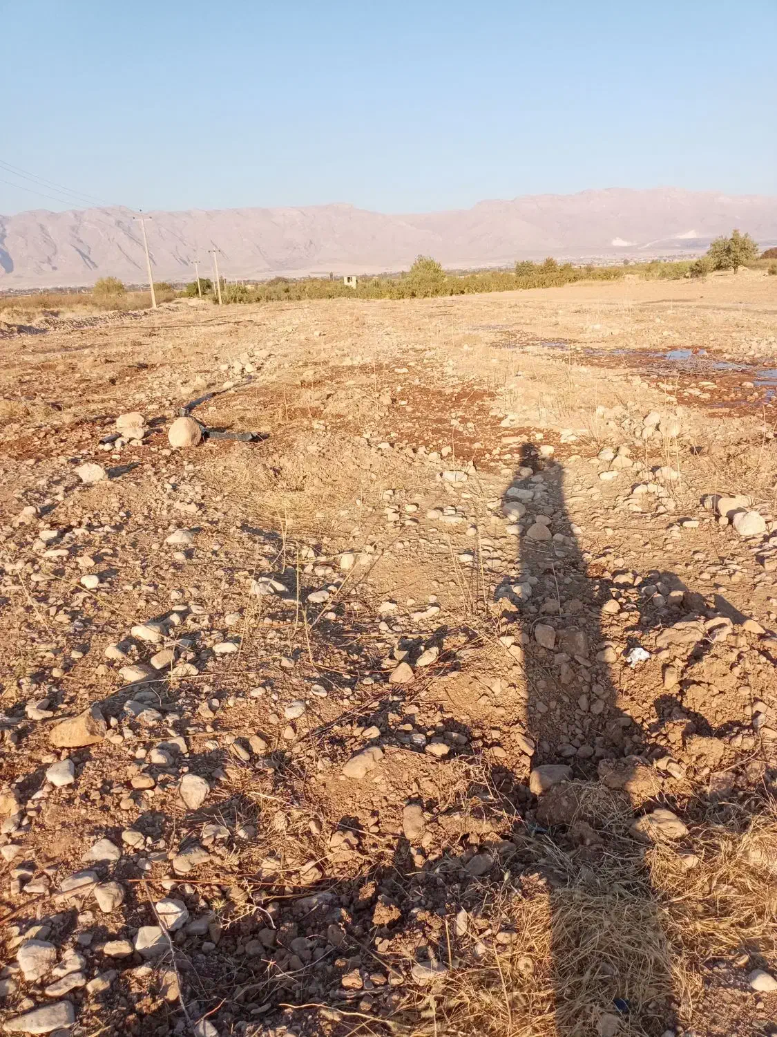 زمین|اجارهٔ دفتر صنعتی، کشاورزی، تجاری|کوار, |دیوار