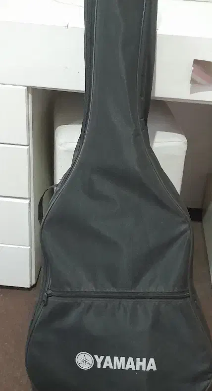 گیتار|گیتار، بیس، امپلیفایر|ماهدشت, |دیوار