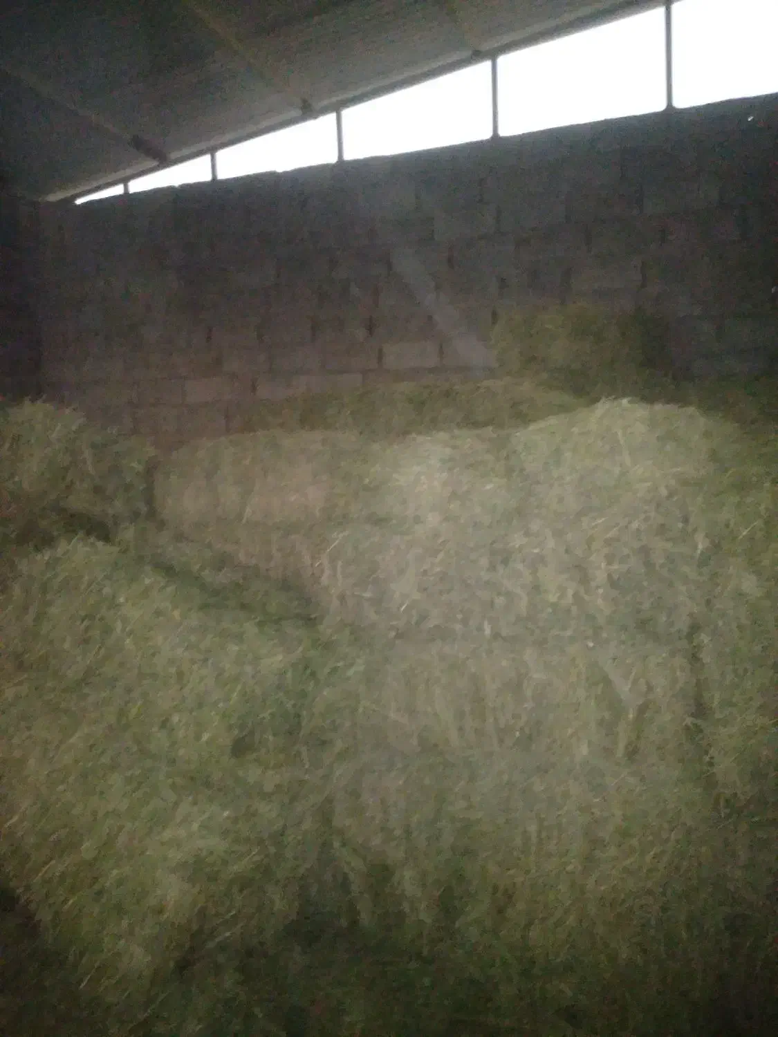 یونجه چین دو وسه|لوازم جانبی حیوانات|شاهیوند, |دیوار