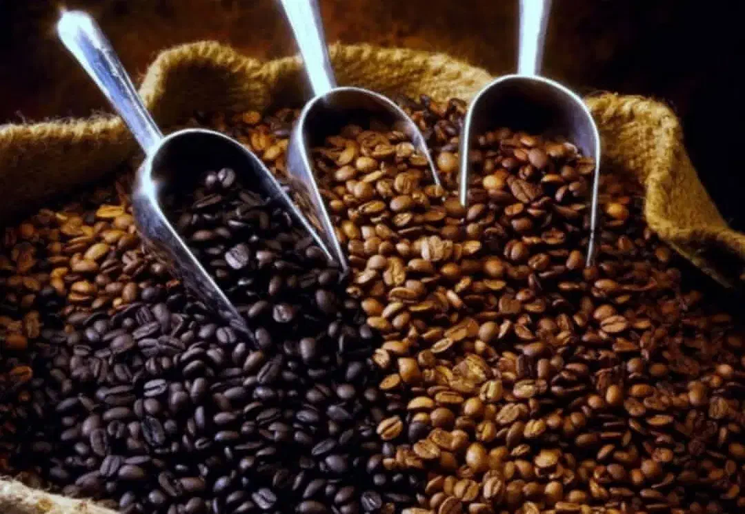 قهوه|کافی‌شاپ و رستوران|پردیس, شهرک صنعتی خرمدشت فاز ۷|دیوار