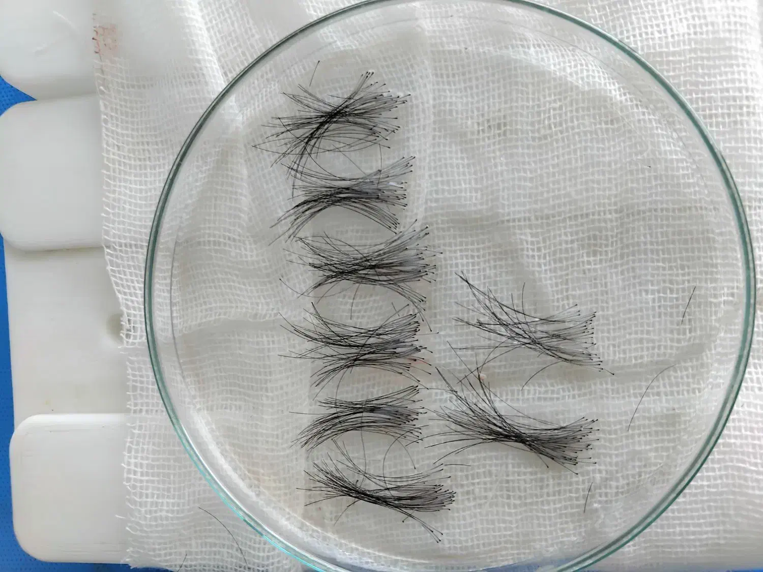 آموزش کات حرفه‌ای مو|خدمات آموزشی|تهران, دبستان|دیوار