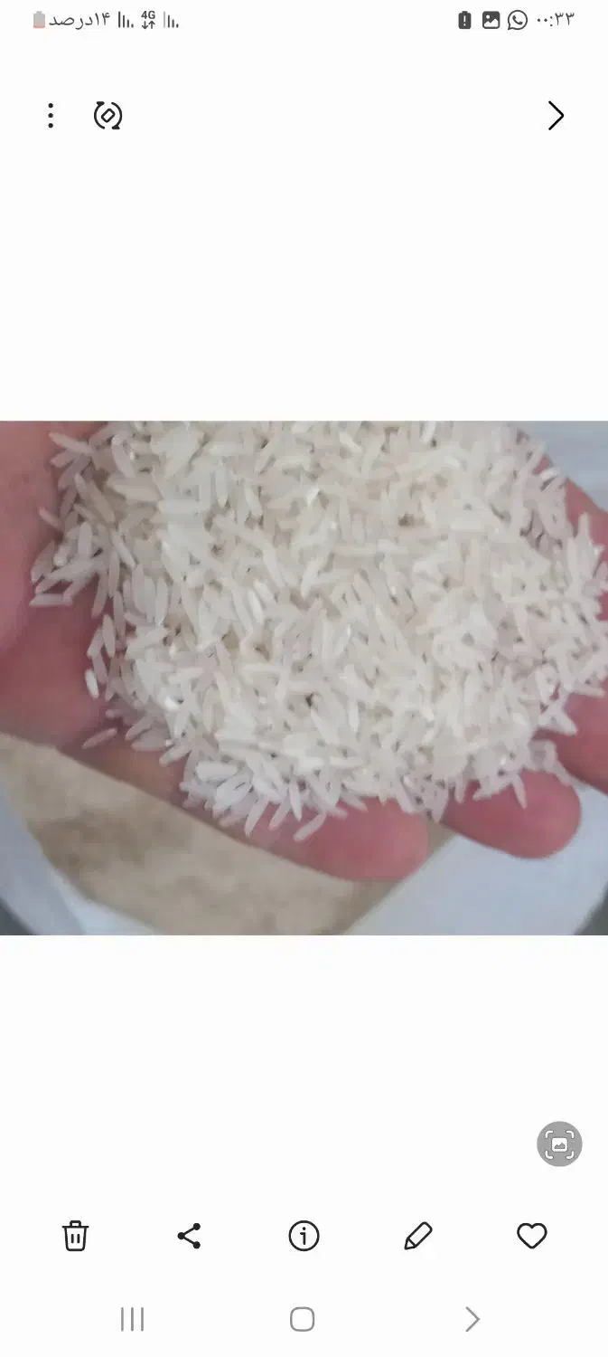 سلام برنج فجر90روزه ضمانتی اززمین خودمون هستش|خوردنی و آشامیدنی|آق قلا, |دیوار