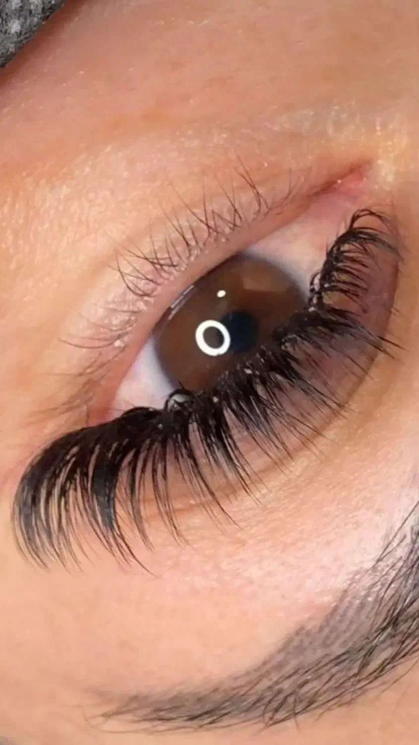 کاشت مژه و اکستیشن مژه|خدمات آرایشگری و زیبایی|مشهد, وحید|دیوار