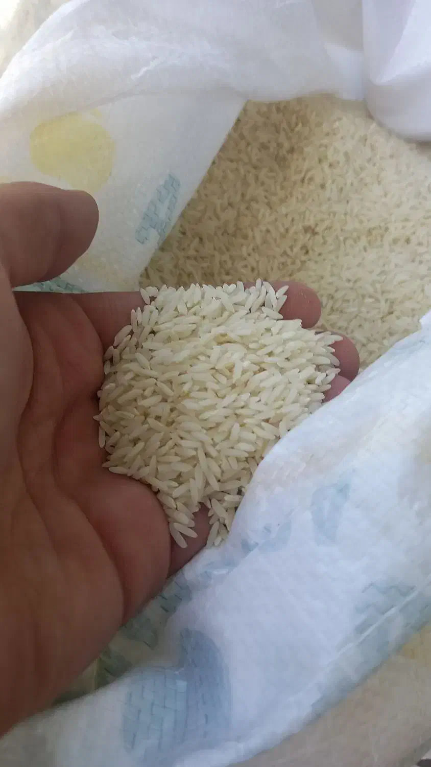 برنج خوش پخت|خوردنی و آشامیدنی|محمدشهر, محمدشهر|دیوار