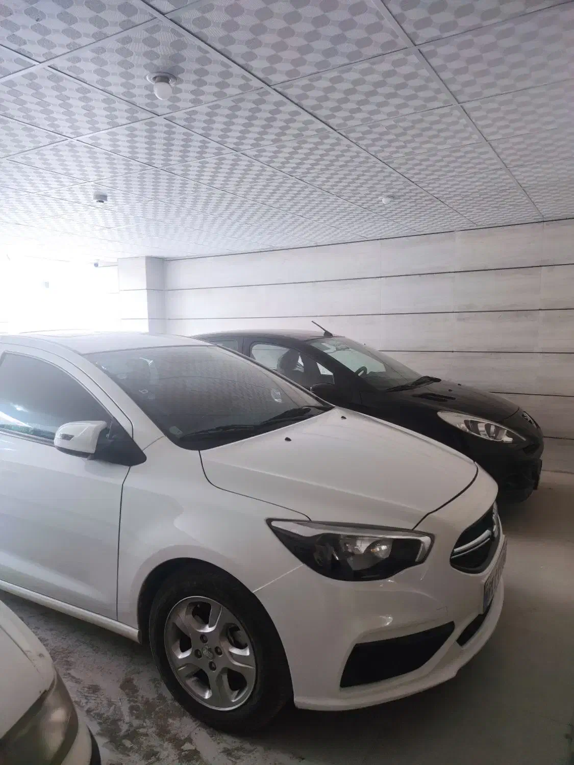 شاهین ۱۴۰۱|خودرو سواری و وانت|سیرجان, |دیوار