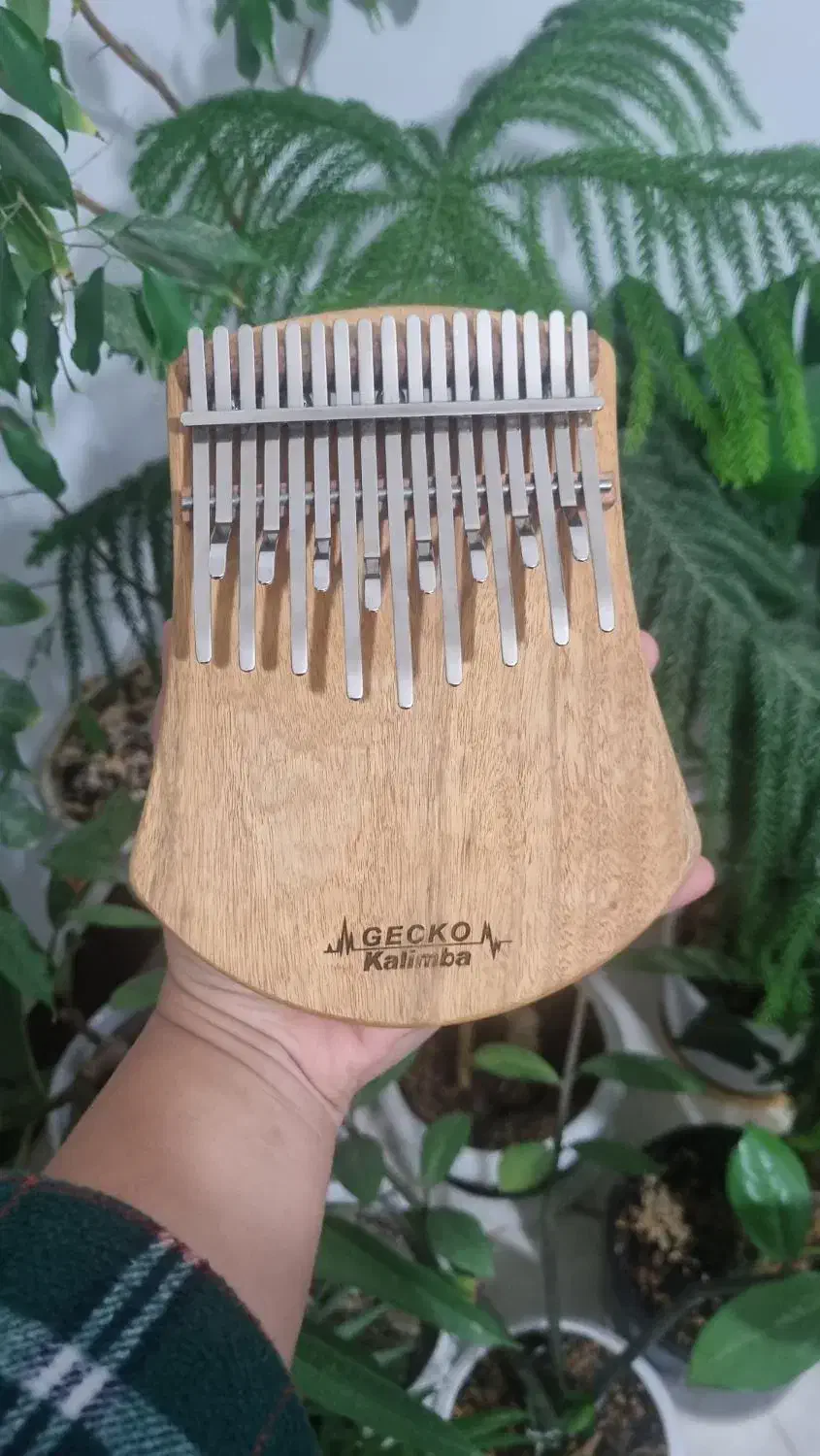 کالیمبا مارک GECKO|سازهای سنتی|قم, پردیسان|دیوار